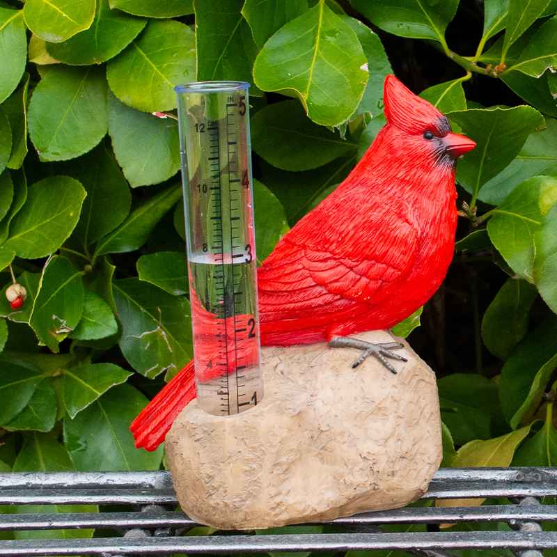 Cardinal Rain Gauge