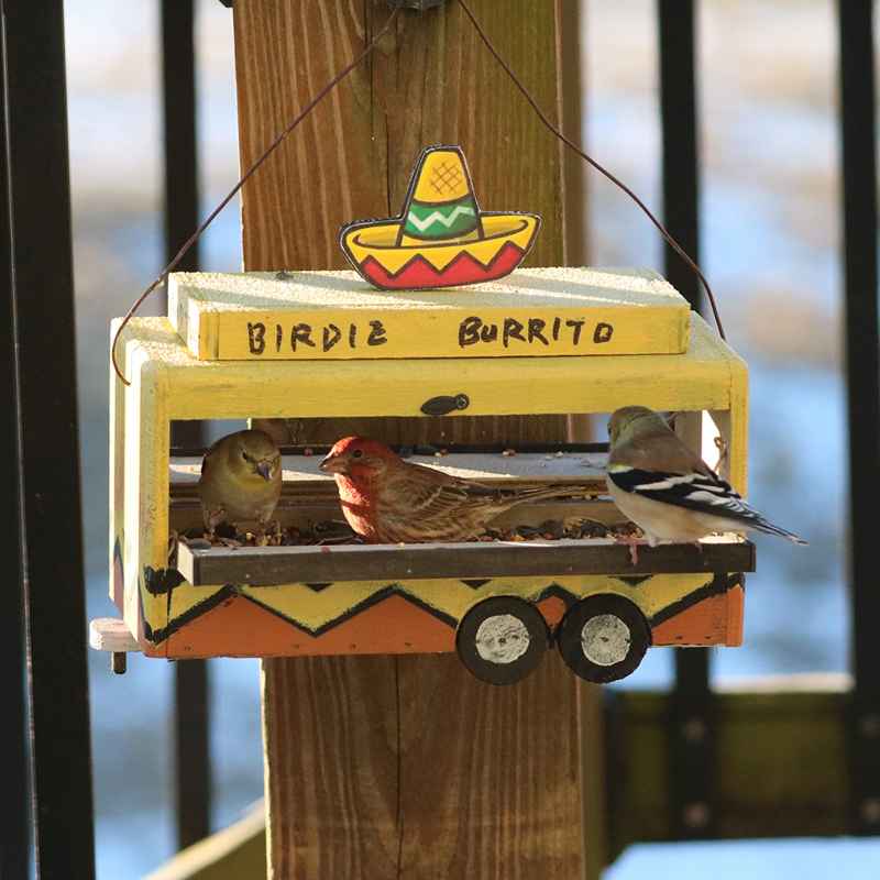 Birdie Burrito Bird Feeder