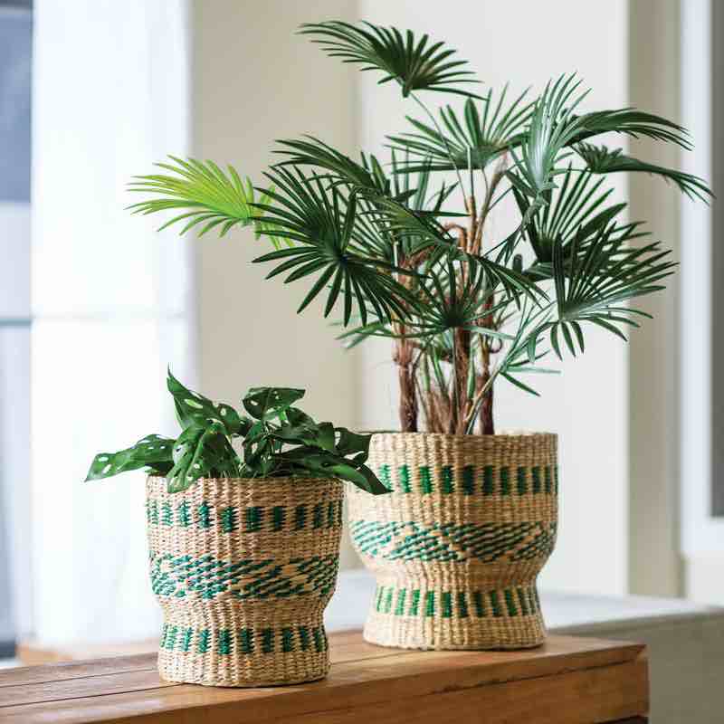 Green and Natural Seagrass Baskets, set of 2