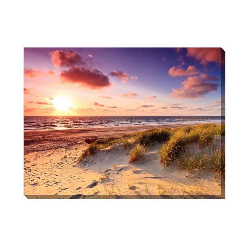 Windswept Outdoor Photographic Canvas Wall Art