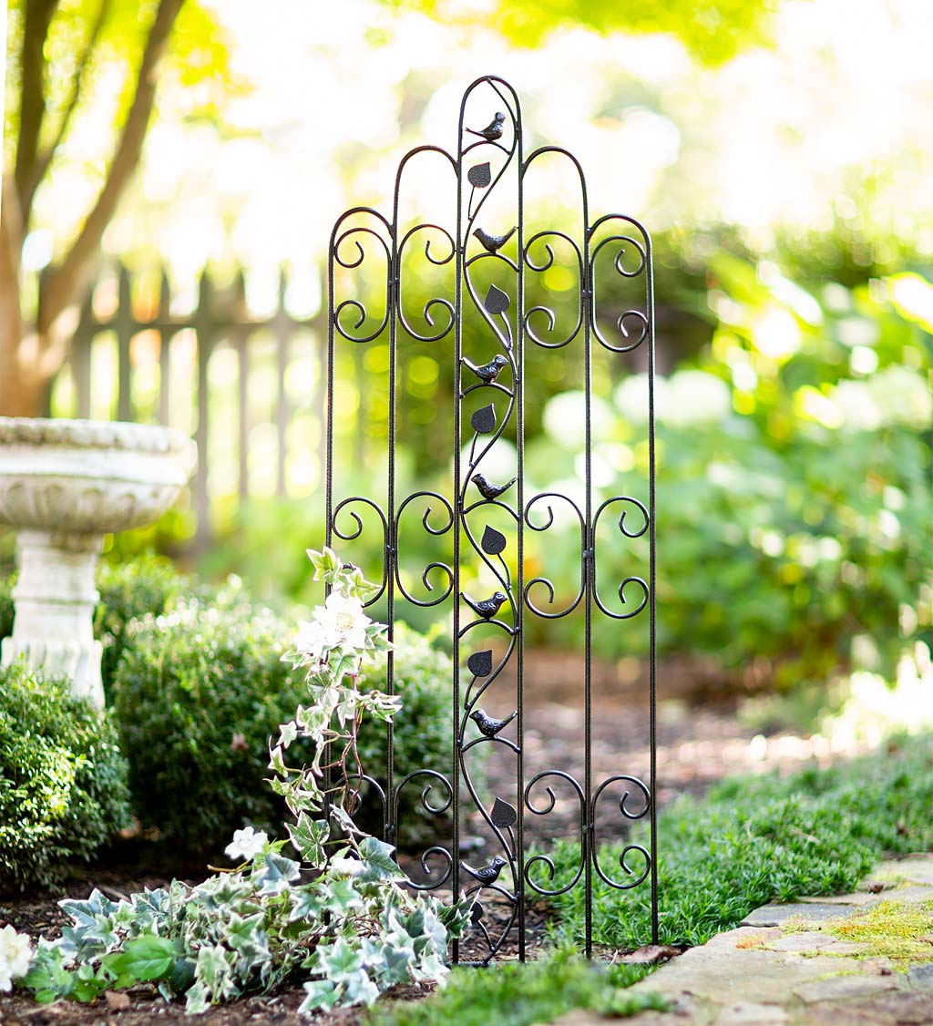 Metal Scrolls and Leaves Garden Trellis | Wind and Weather
