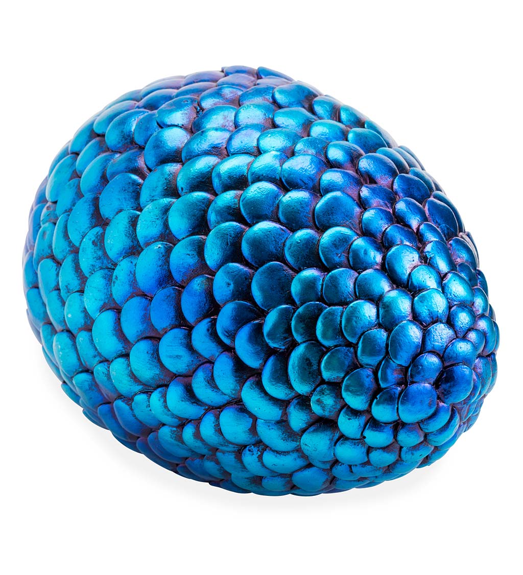 blue dragon egg