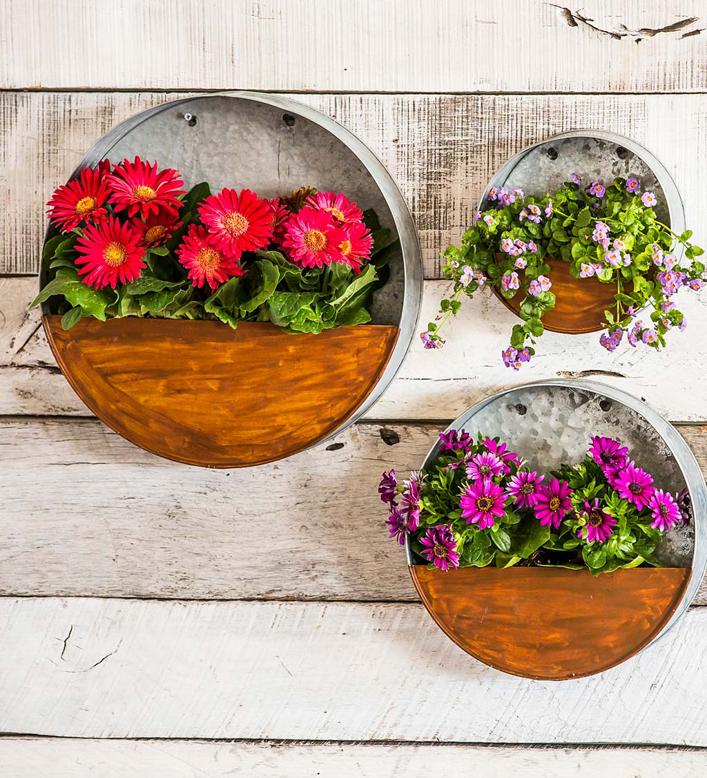 Galvanized Metal Round Wall Planter | Wind and Weather