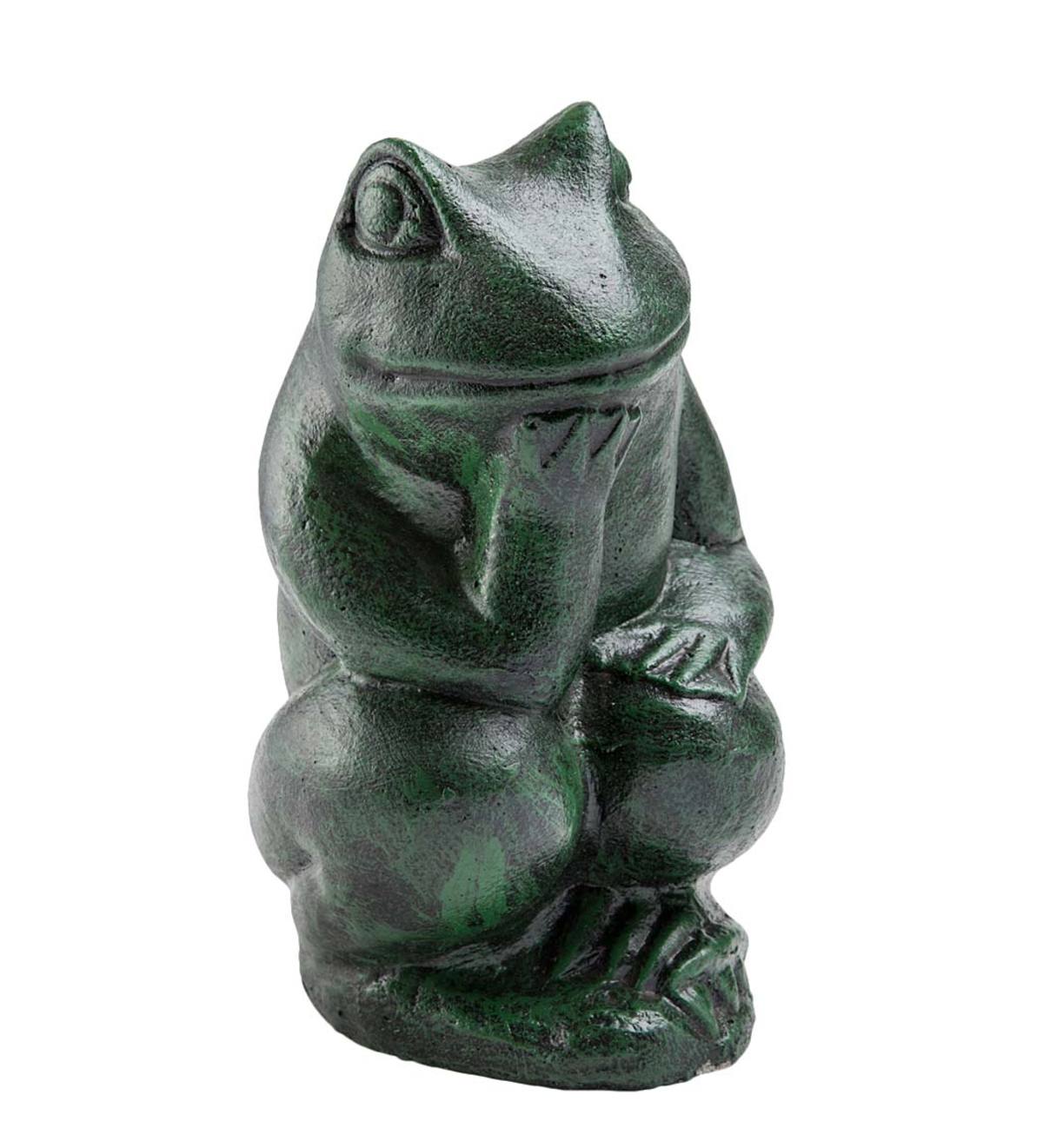 Thinking Frog Garden Statue | Wind and Weather